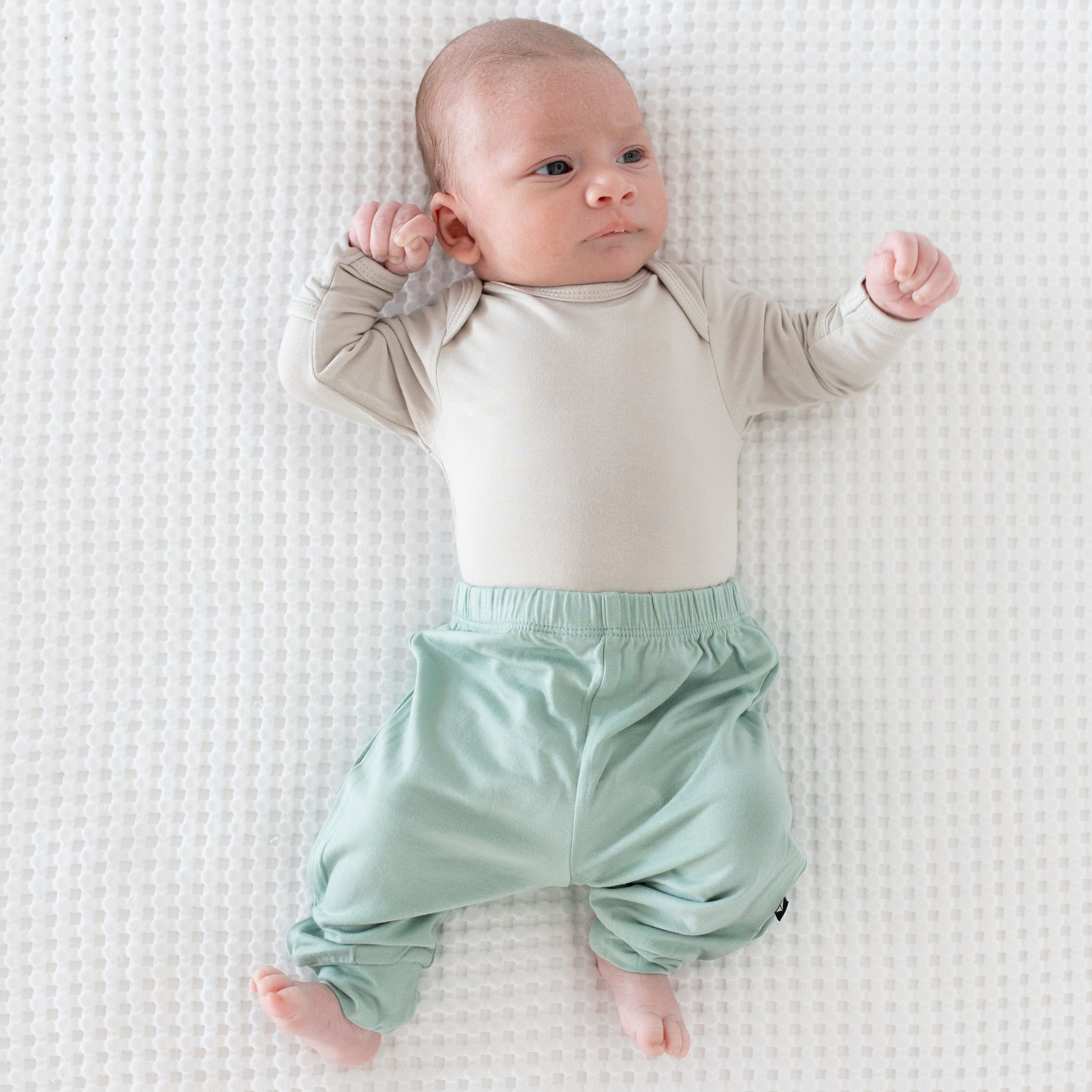 Pant in Sage